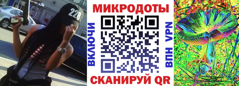 магазин    Элиста  Галлюциногенные грибы GOLDEN TEACHER 