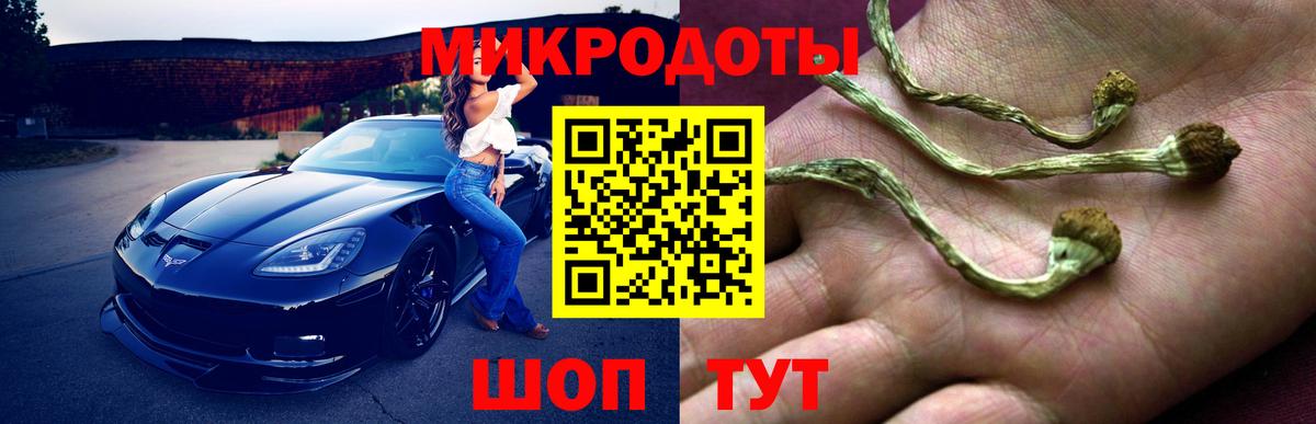 купить  сайты  Вход с VPN  Элиста  Галлюциногенные грибы ЛСД 