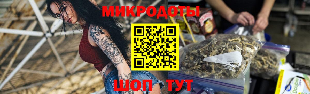 Галлюциногенные грибы Psilocybe Элиста